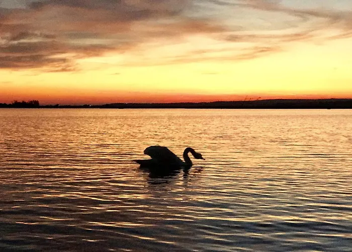 Hotel Lelle בלטונללה